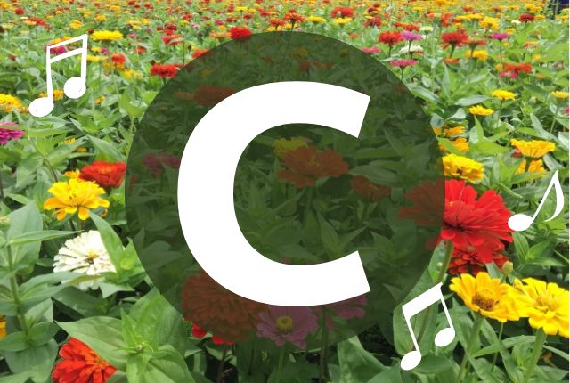 花畑の背景にアルファベットのCが書かれています。