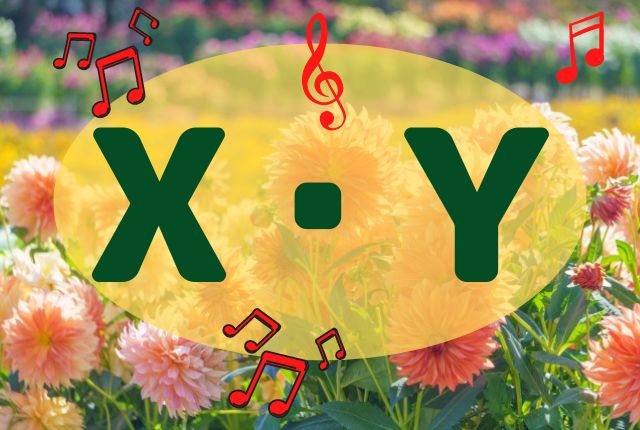 花畑の背景にアルファベットのXとYが書かれています。