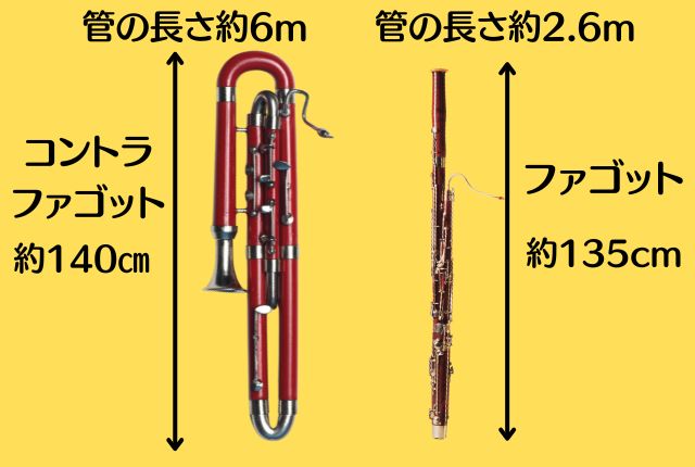 オーケストラのファゴットの役割は?紳士的で穏やか低音部担当 | 音楽室ハニホー♪